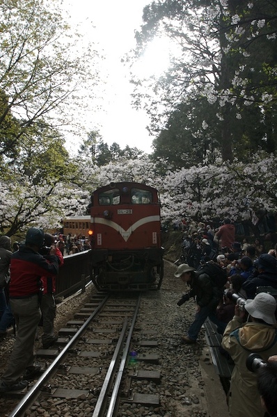 咩～很兇的列車司機