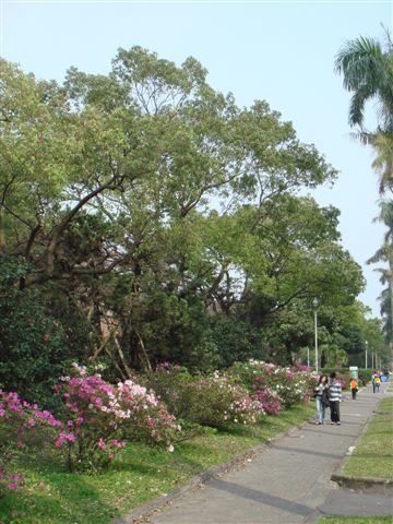 DSC03006.JPG