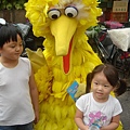 「弟弟、妹妹，我是芝蔴街美語Big Bird」