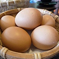 雞蛋
