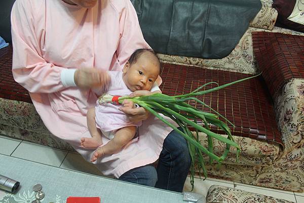 IMG_7540 IMG_7540