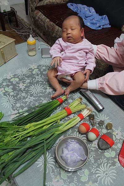 IMG_7530 IMG_7530