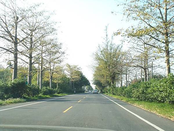 縣道145 114.JPG 縣道145 114.JPG