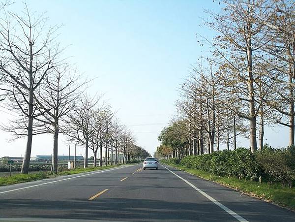 縣道145 113.JPG 縣道145 113.JPG