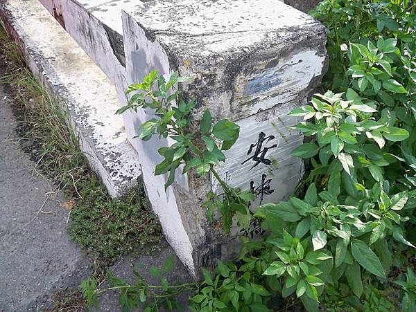 縣道125 38.JPG 縣道125 38.JPG