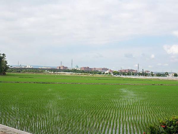 台3豐霧 174.JPG 台3豐霧 174.JPG