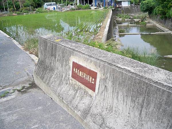 台3豐霧 178.JPG 台3豐霧 178.JPG