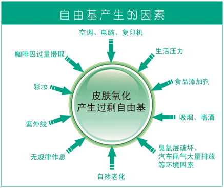 自由基對人體的傷害-6