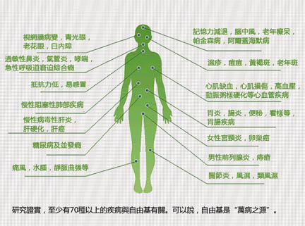 自由基對人體的傷害-7