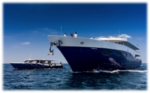 壯觀的大船 壯觀的大船