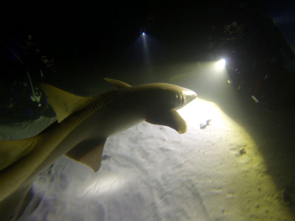 GOPR0844.jpg GOPR0844.jpg