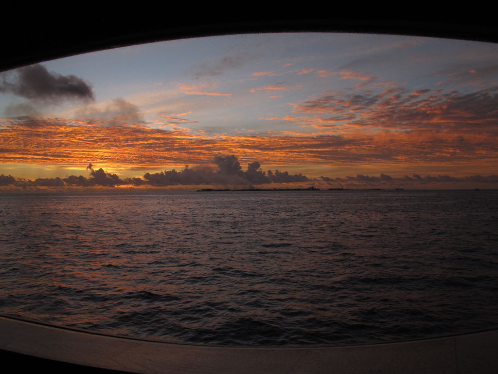 IMG_3515.jpg IMG_3515.jpg