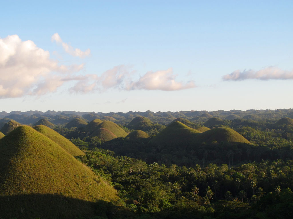 IMG_4304.jpg IMG_4304.jpg