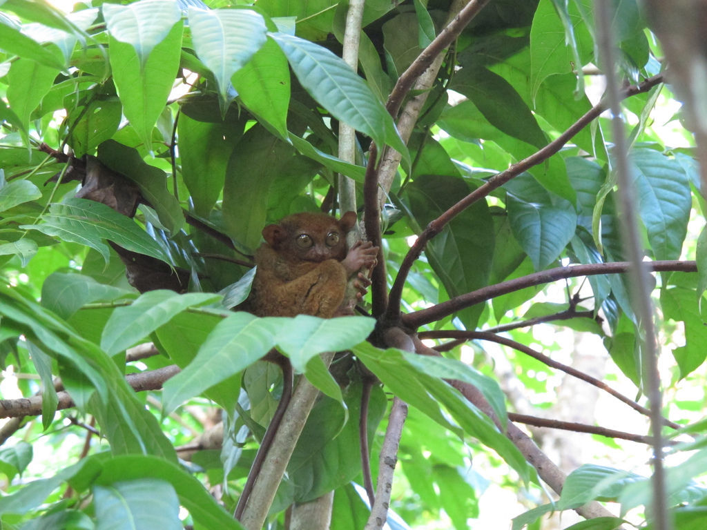 IMG_4274.jpg IMG_4274.jpg