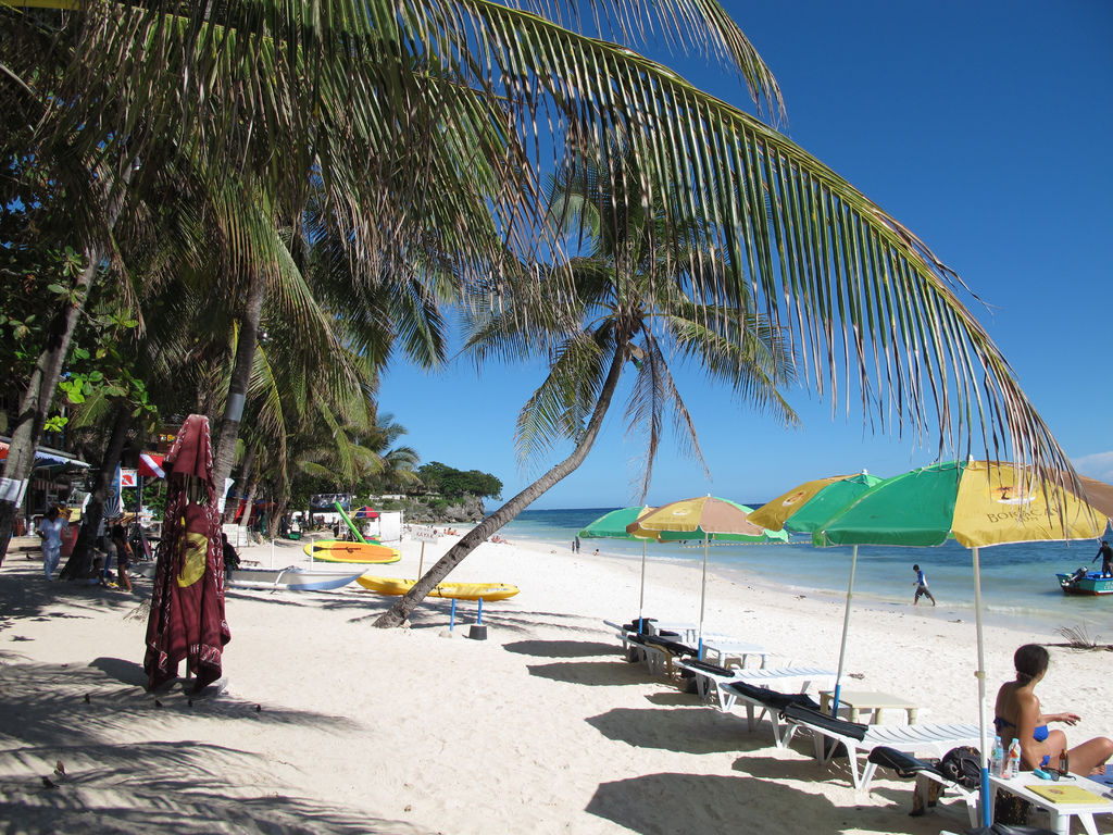 IMG_4560.jpg IMG_4560.jpg