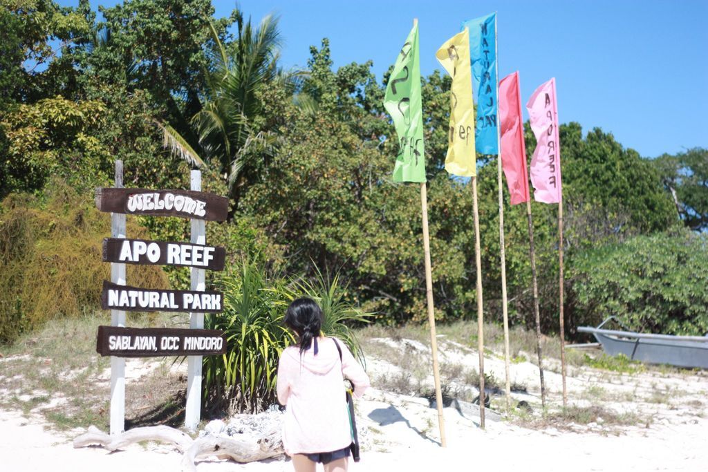 APO ISLAND.jpg