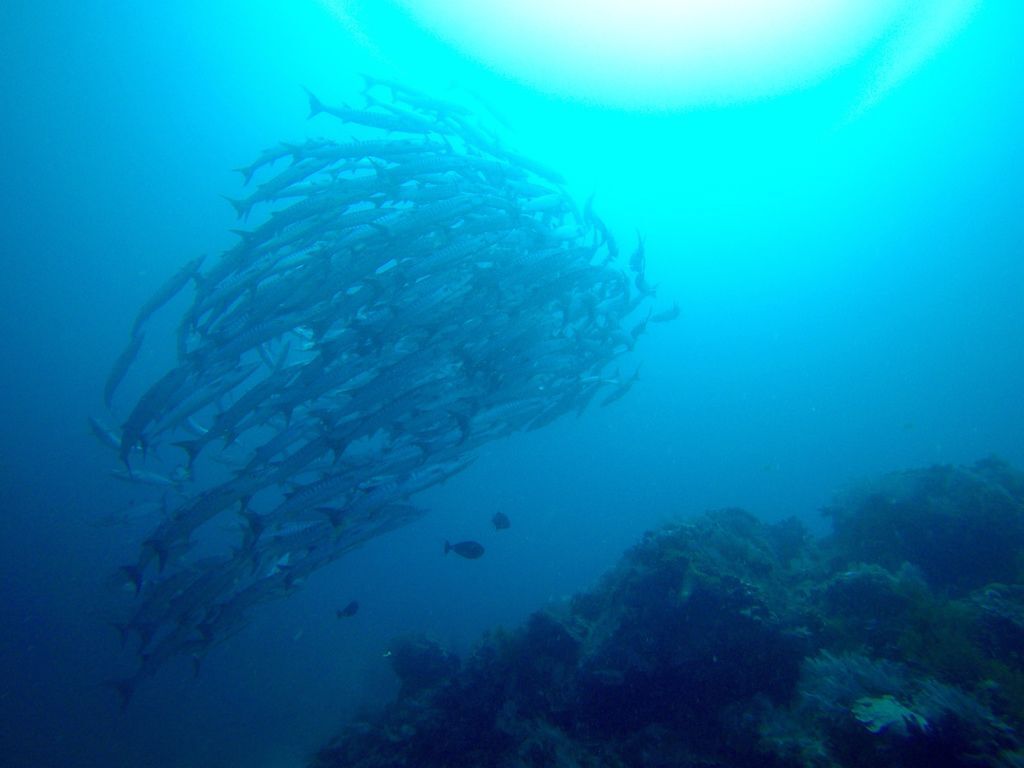 G0418860.jpg G0418860.jpg