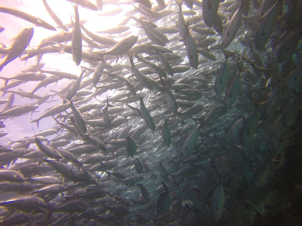 G0358811.jpg G0358811.jpg