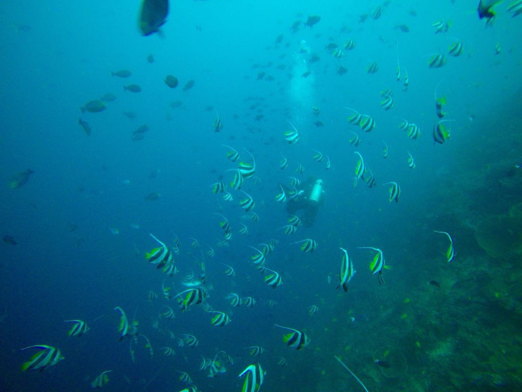 G0398843.jpg G0398843.jpg