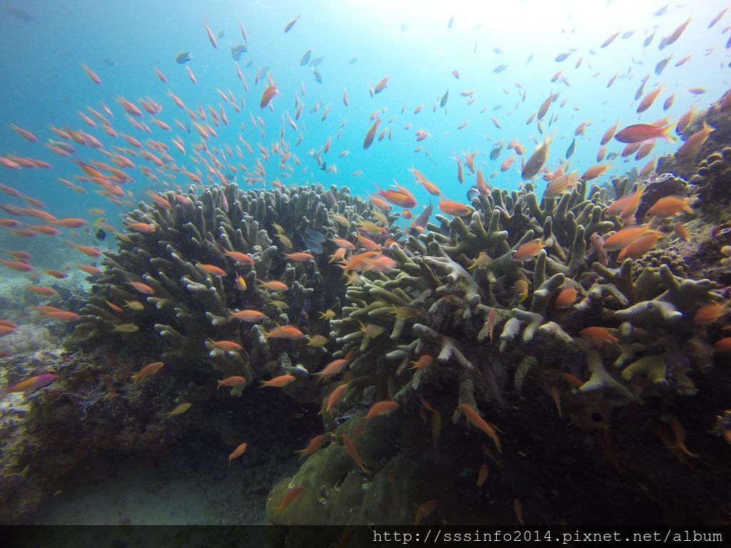 G0598969.jpg G0598969.jpg