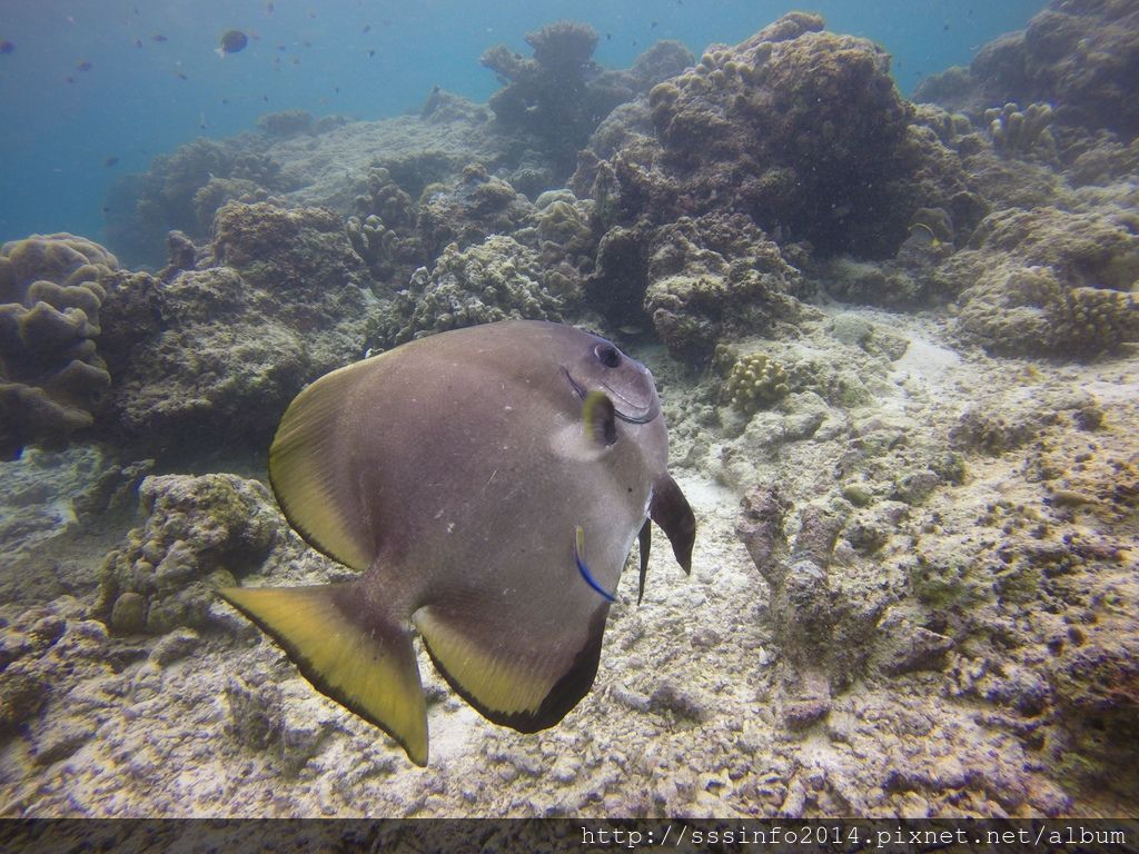 G0628983.jpg G0628983.jpg