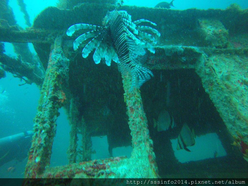 G0709021.jpg G0709021.jpg