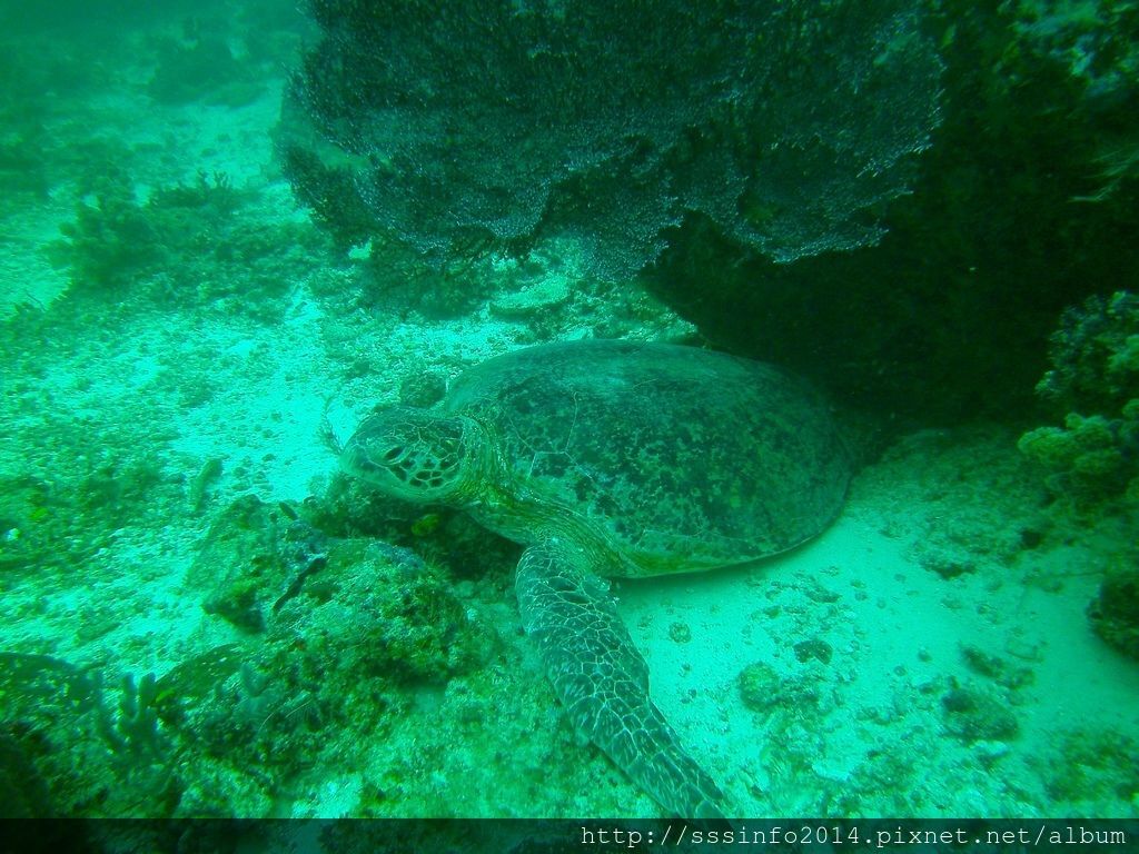 PICT0173.jpg PICT0173.jpg