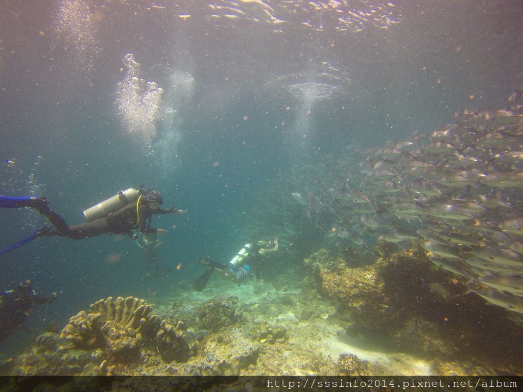 G0168713.jpg G0168713.jpg