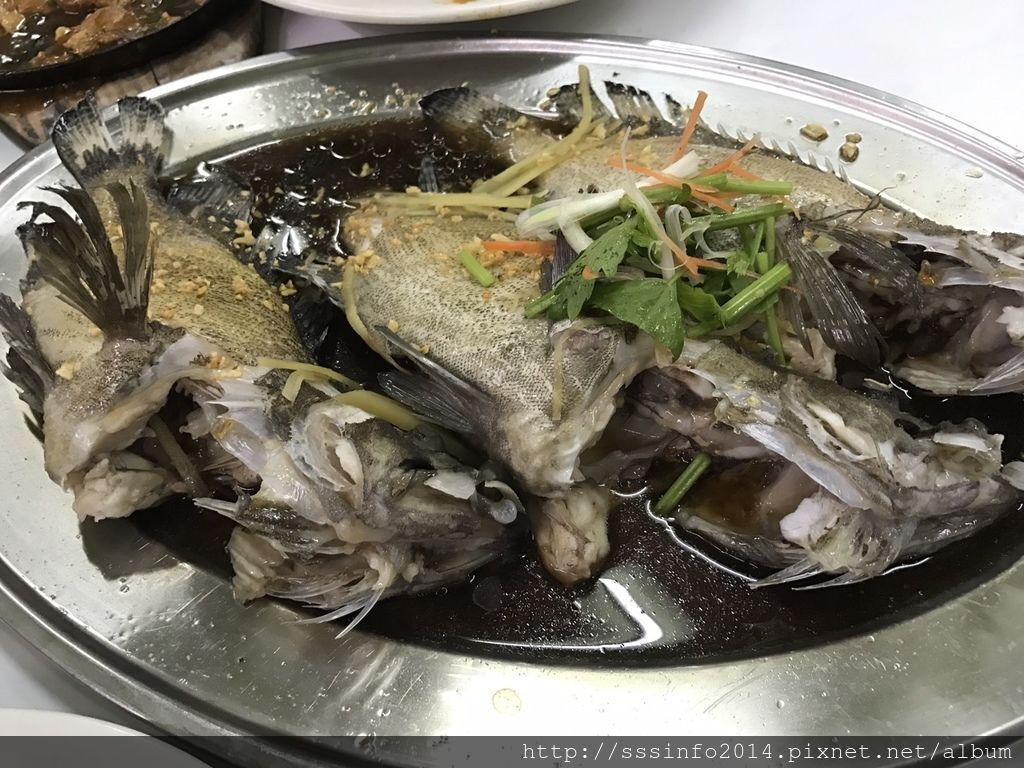 S__29524026.jpg S__29524026.jpg