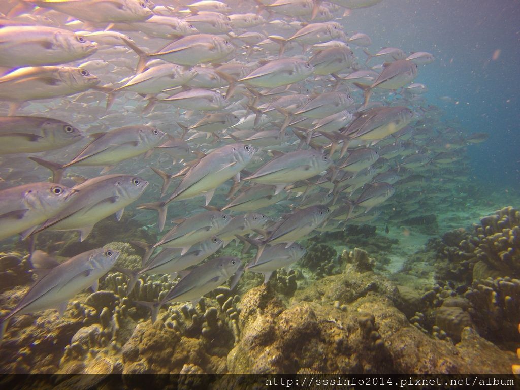 G0098674.jpg G0098674.jpg