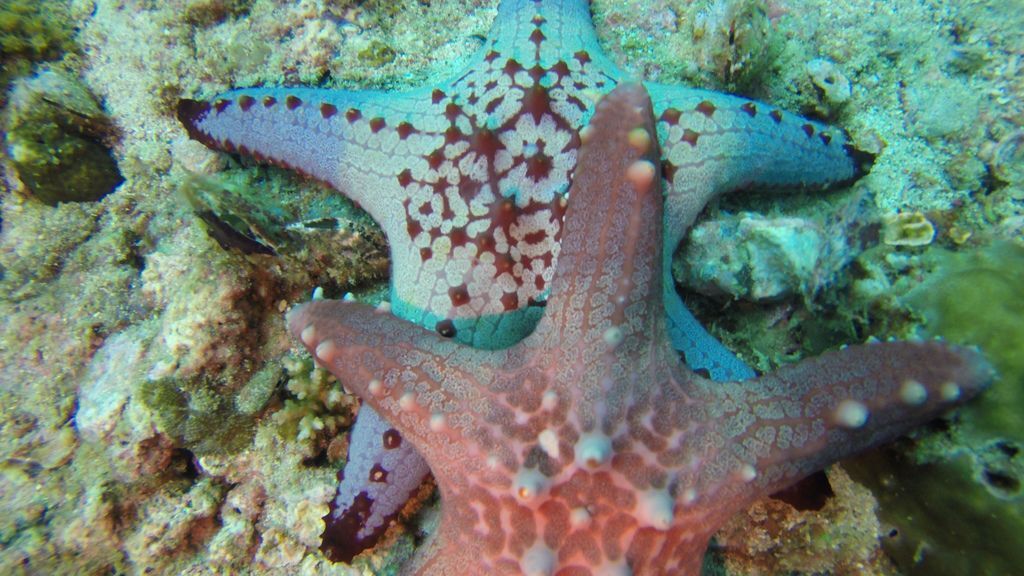 G0156731.jpg G0156731.jpg