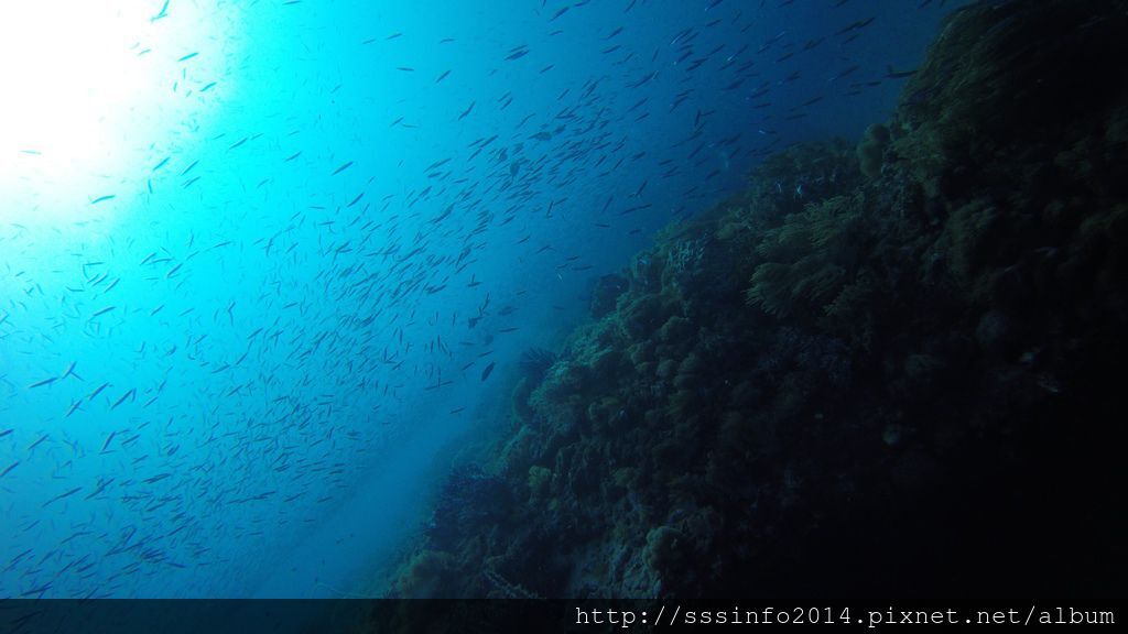 G0886297.jpg G0886297.jpg