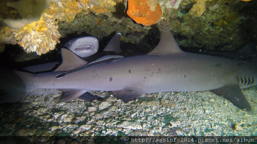 G1166519.jpg G1166519.jpg