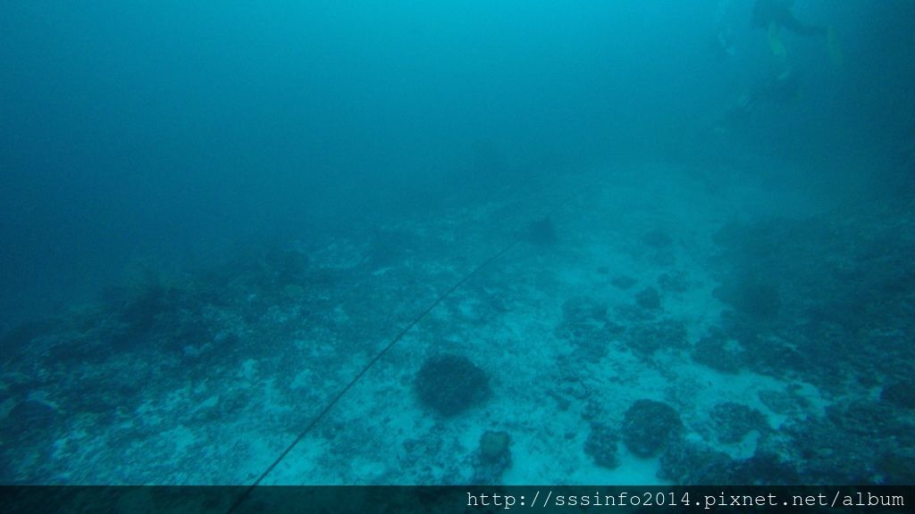 G1126493.jpg G1126493.jpg