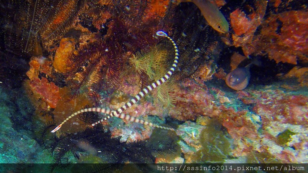 G0196749.jpg G0196749.jpg