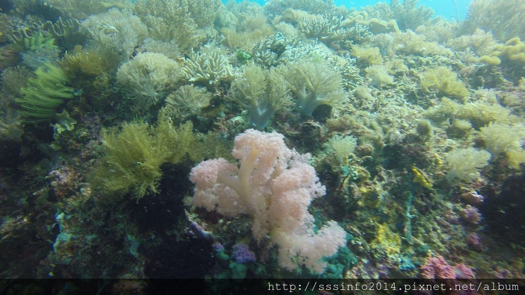 G0846280.jpg G0846280.jpg