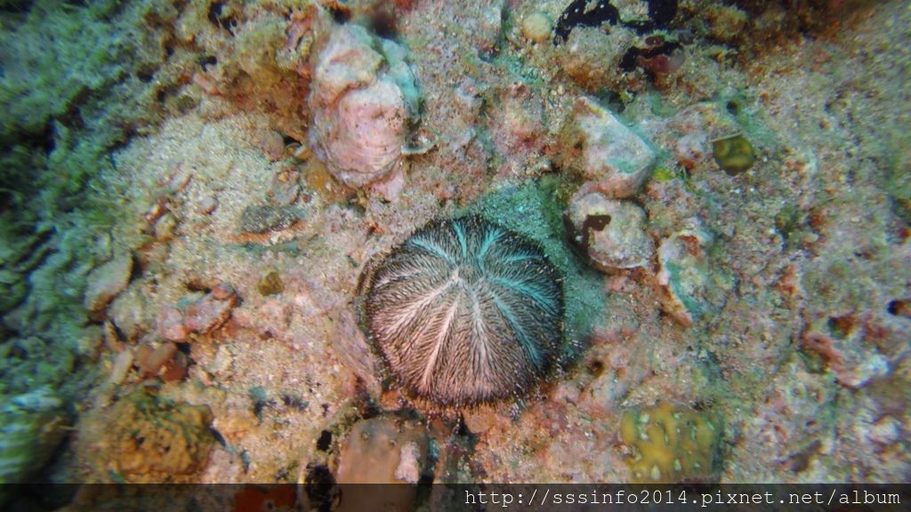 G0186742.jpg G0186742.jpg