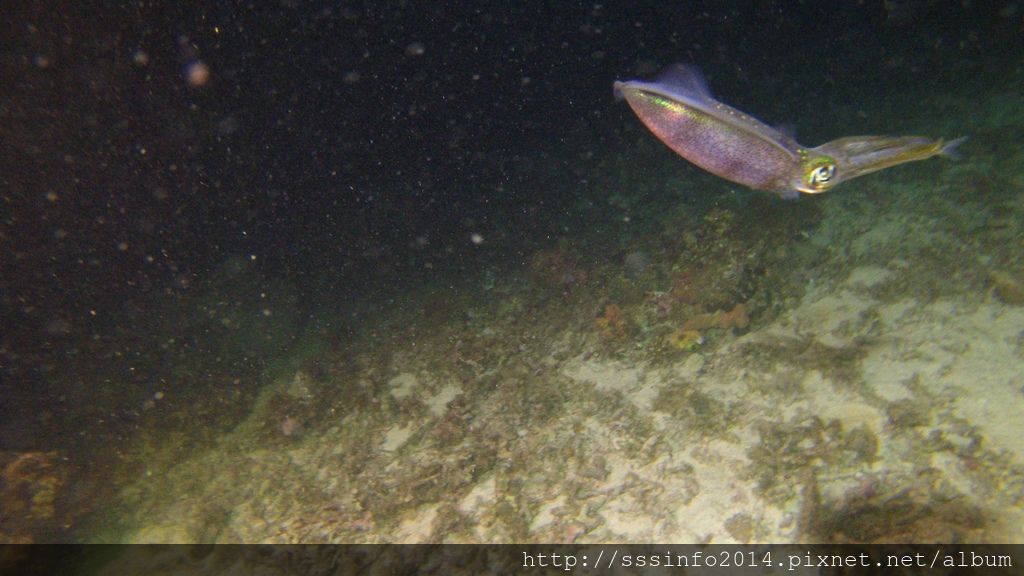 G0956345.jpg G0956345.jpg