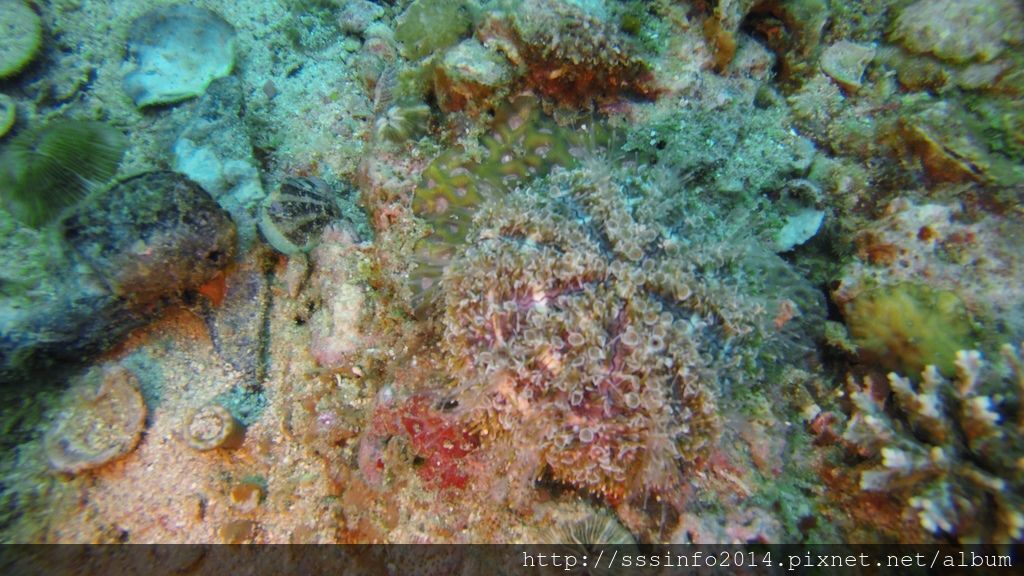 G0166734.jpg G0166734.jpg