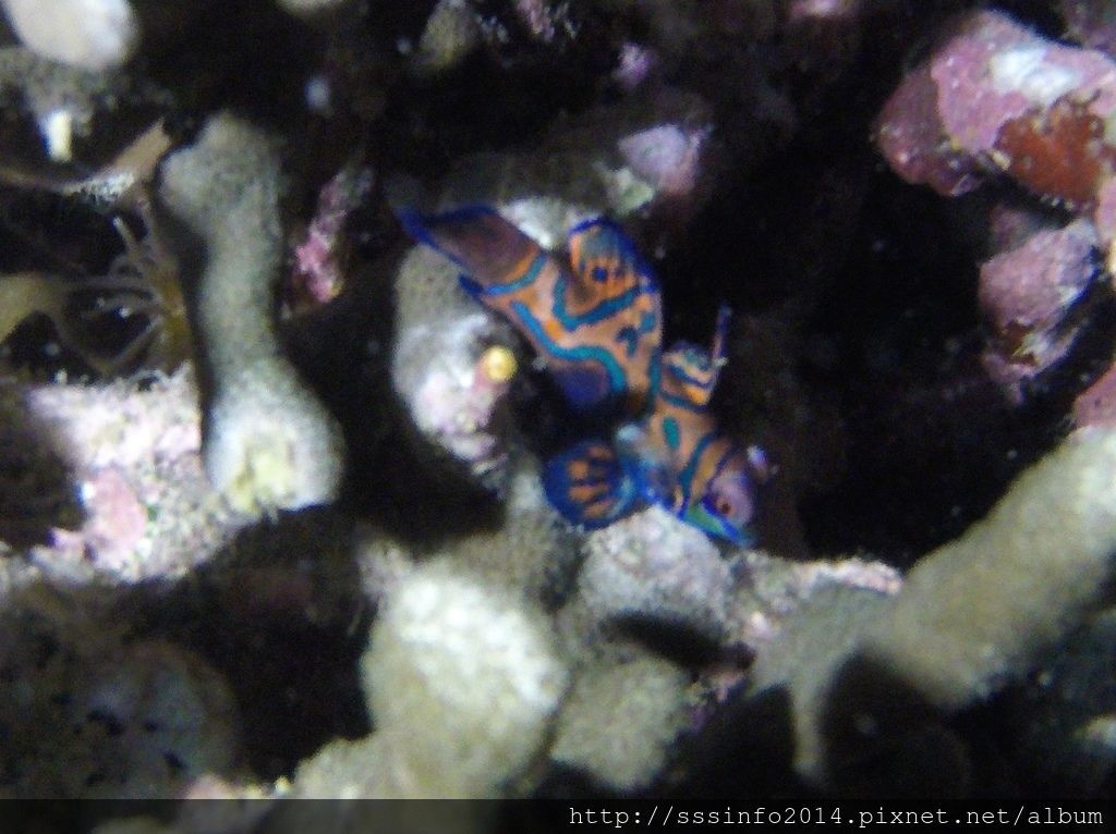 G0986370.jpg G0986370.jpg