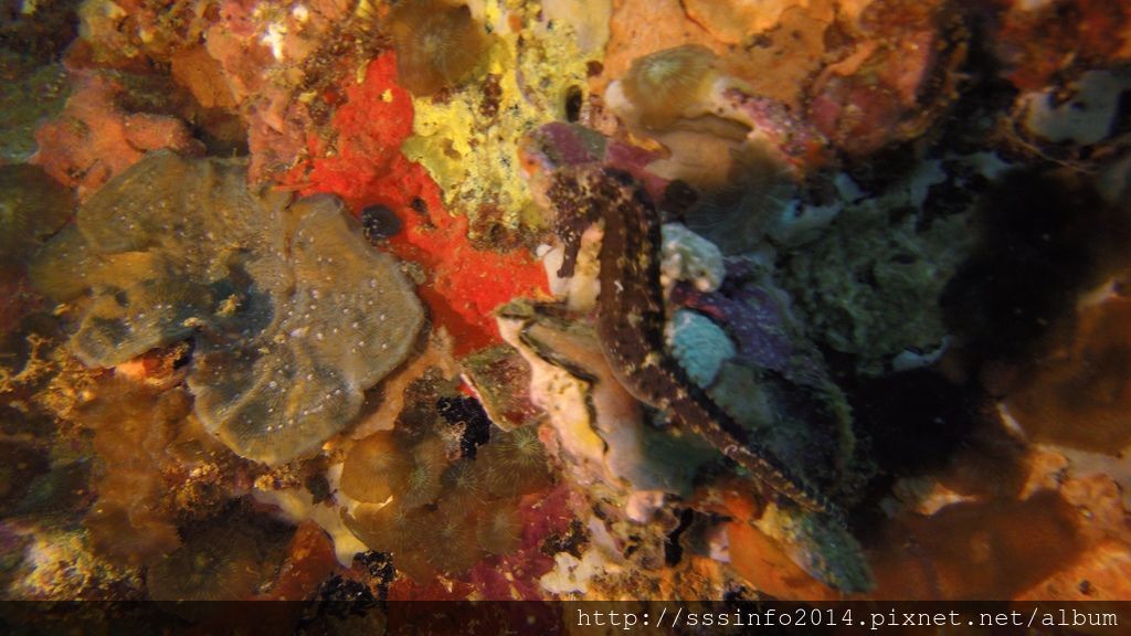 G1186542.jpg G1186542.jpg