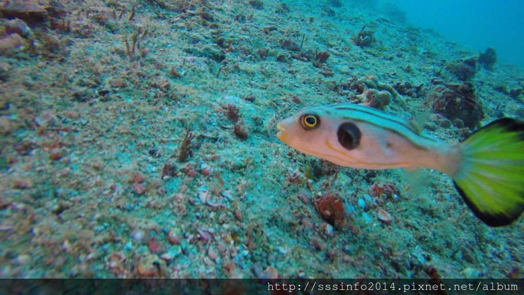 G1336636.jpg G1336636.jpg