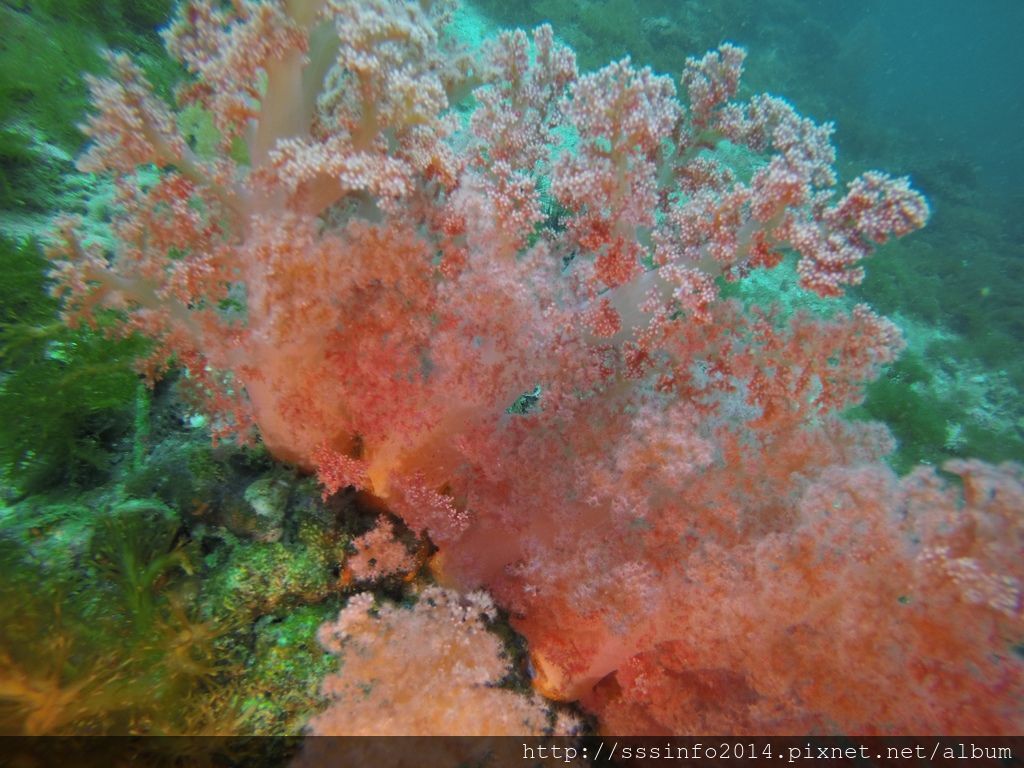 GOPR6530.jpg GOPR6530.jpg