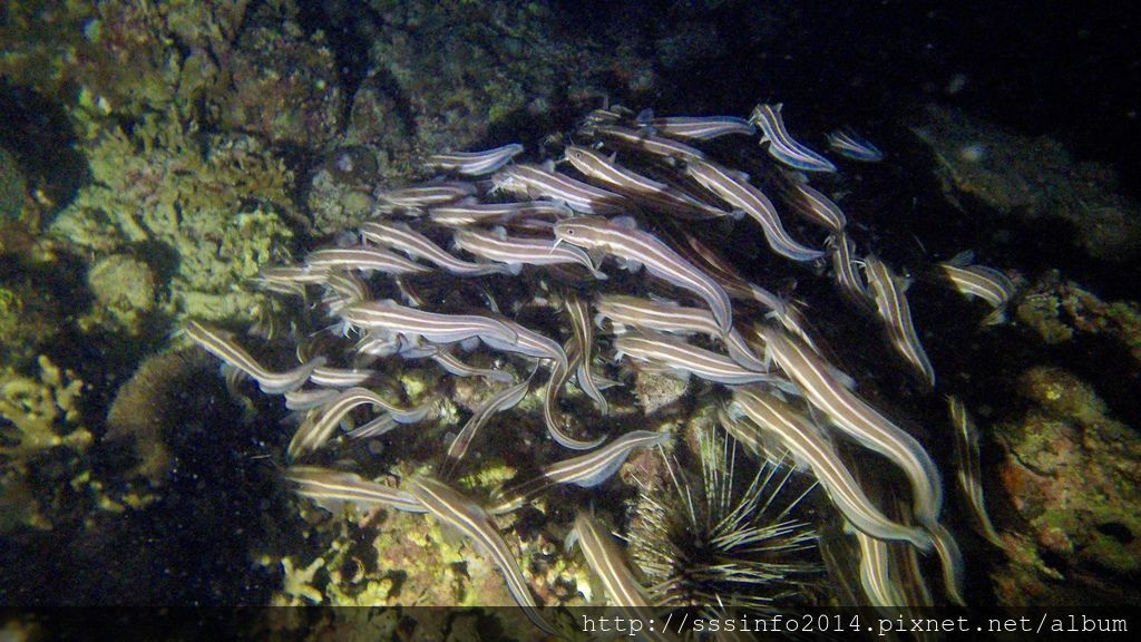 G1006389.jpg G1006389.jpg