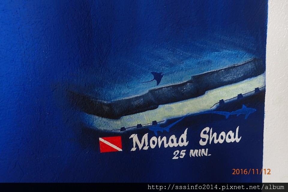 14980616_1332163906807416_2356454773049704284_n.jpg 14980616_1332163906807416_2356454773049704284_n.jpg