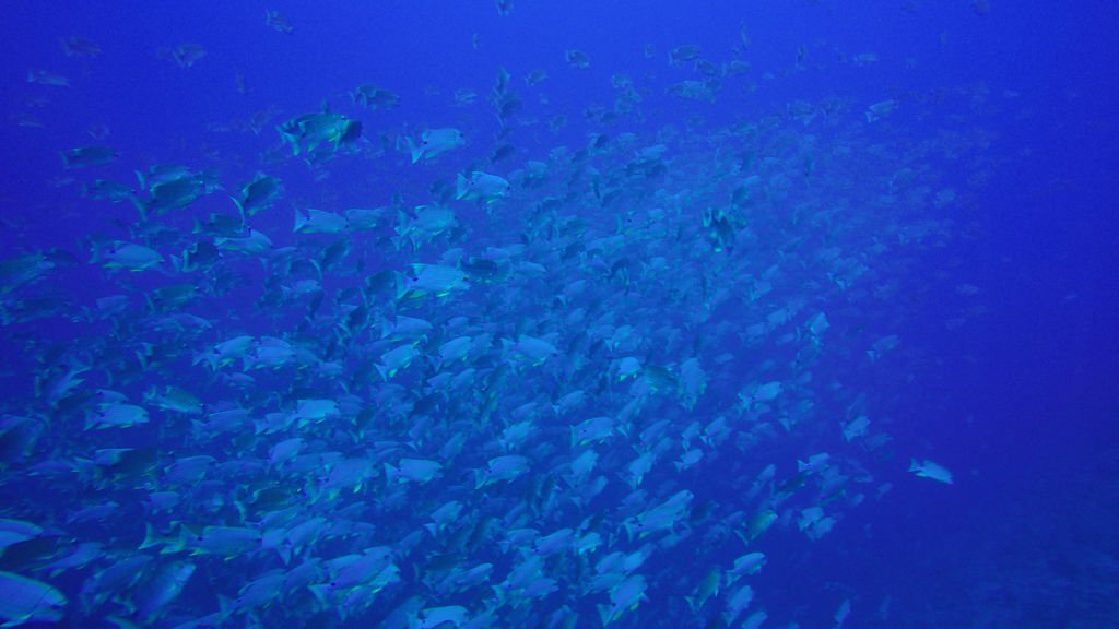 G0849974.jpg G0849974.jpg