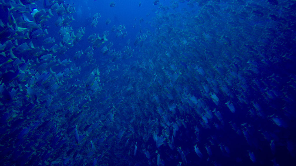 G0119455.jpg G0119455.jpg