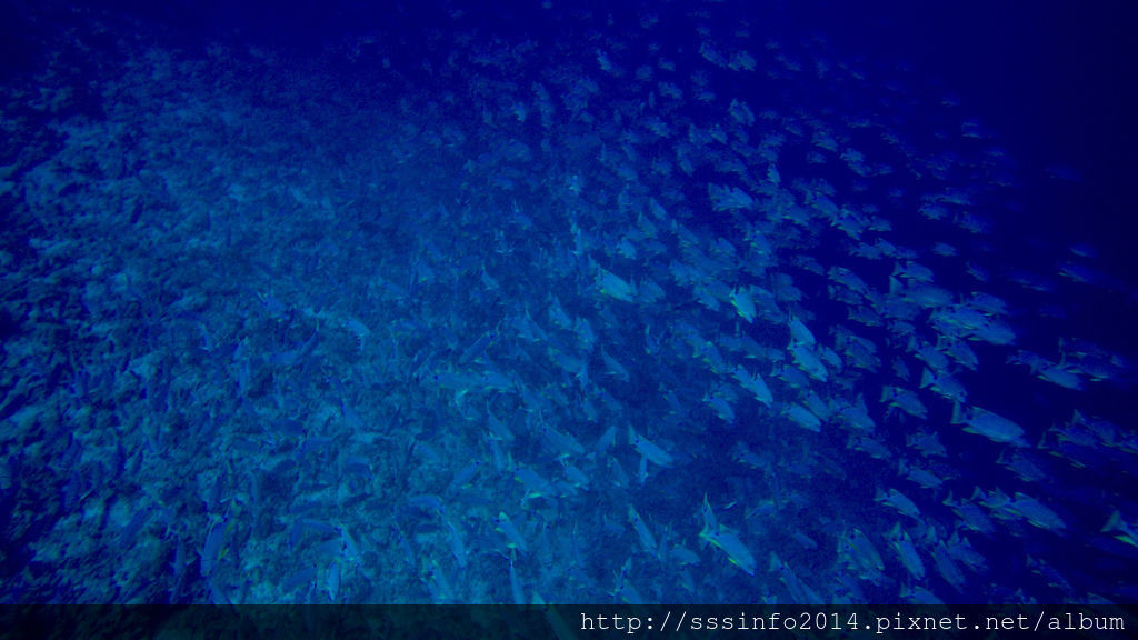 G0129465.jpg G0129465.jpg