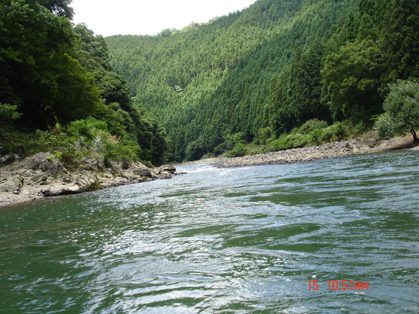 DSC01853.JPG