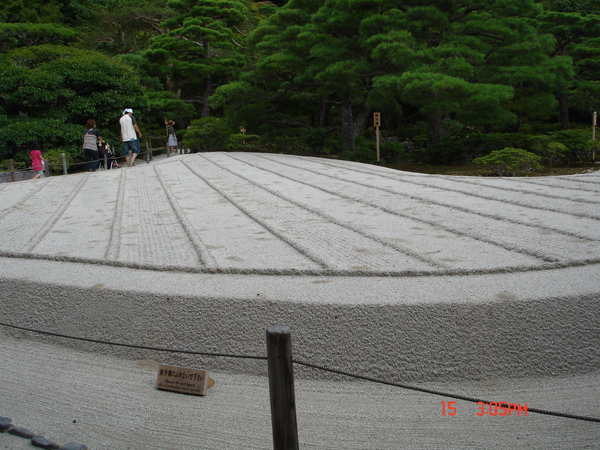 DSC01875.JPG
